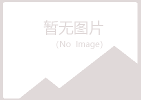 平原县问雁化学有限公司